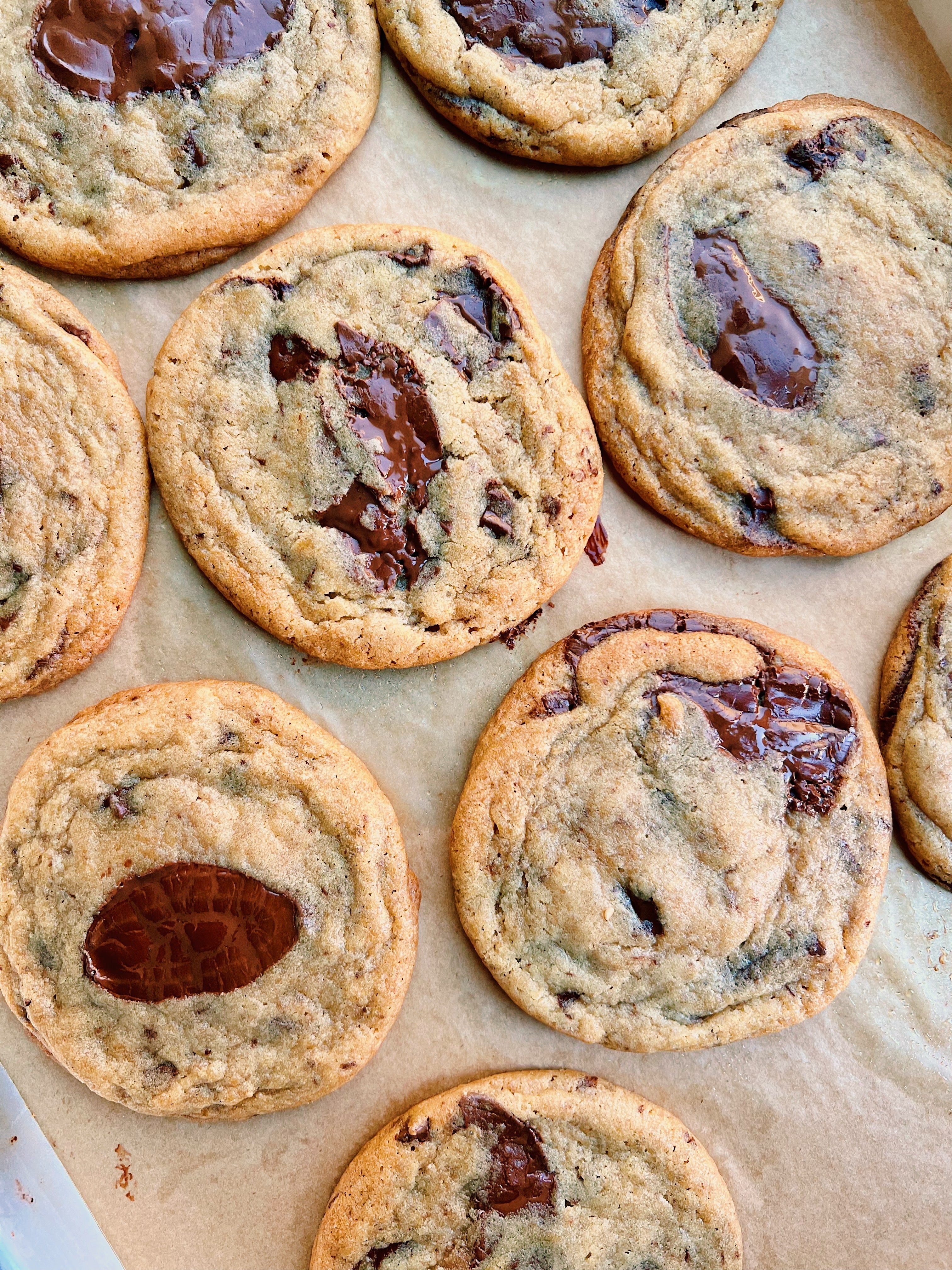 Chocolate Chip Cookie