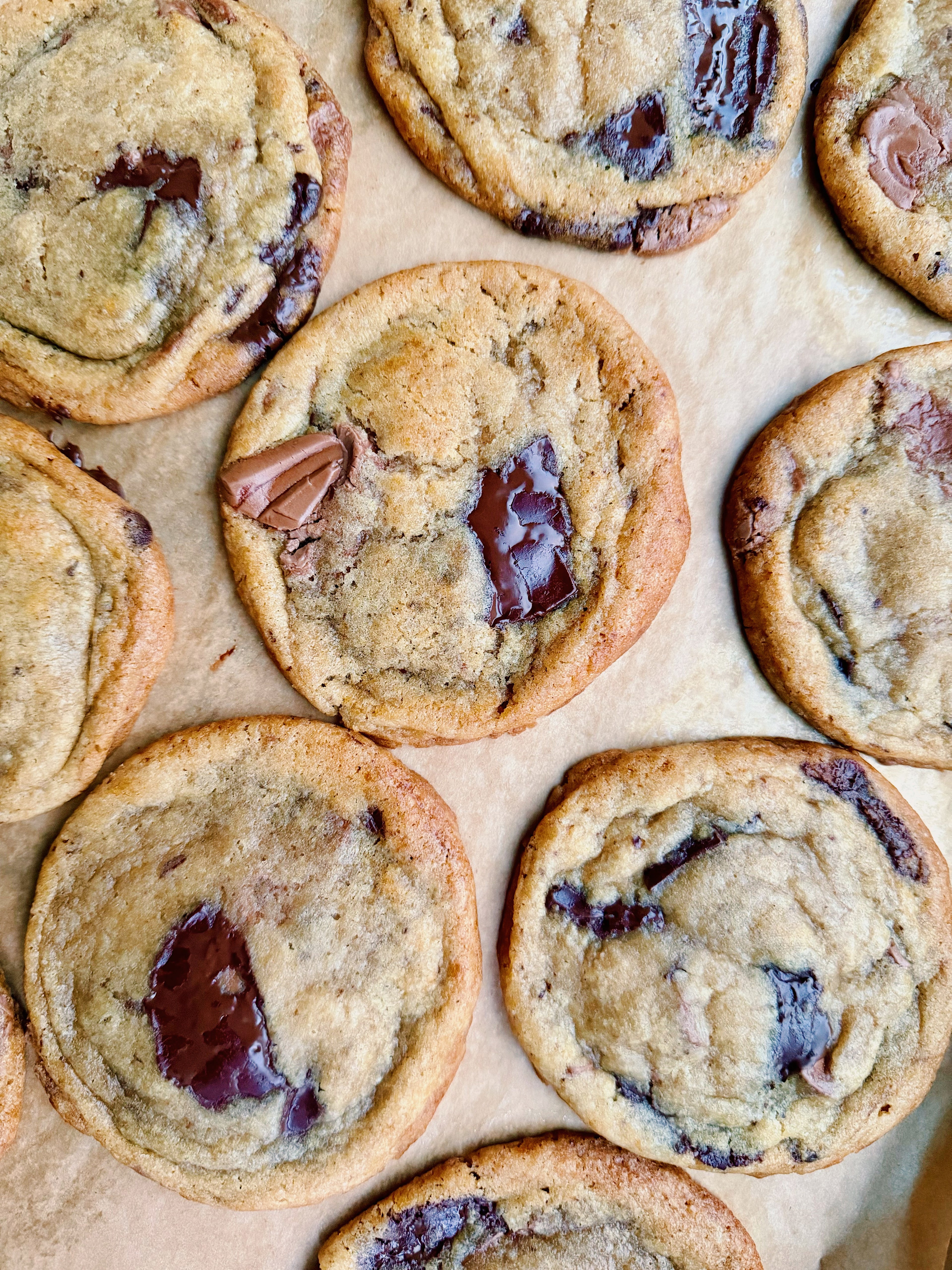 Chocolate Chip Cookie